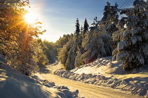 Paesaggio invernale. Strada innevata nella foresta