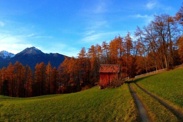 Walk along the road to the autumn forest