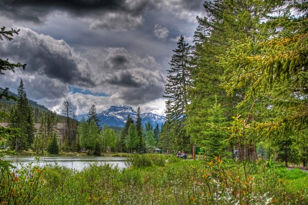 A forest with thunderclouds and a river