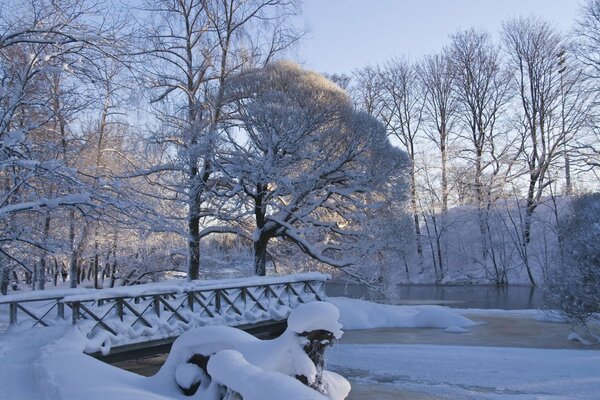 Brücke in einer Winterlandschaft mit schneebedeckten Bäumen