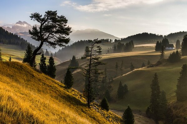 Matin brumeux dans les montagnes