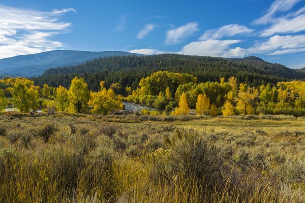 Nationalpark in Wyoming