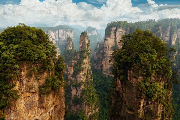 Narodowy park leśny w Chinach
