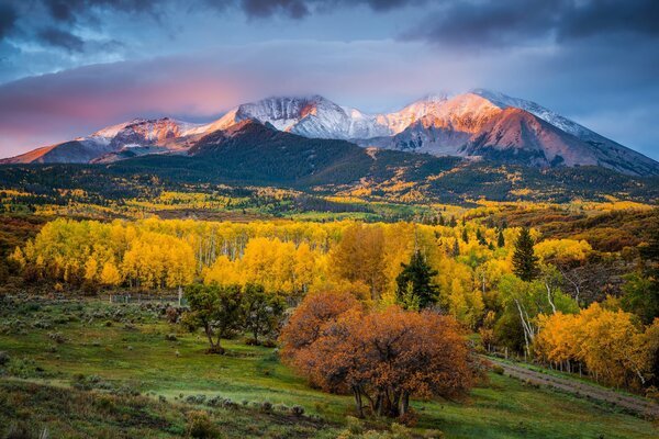 Heller Herbst in den Bergen von Colorado