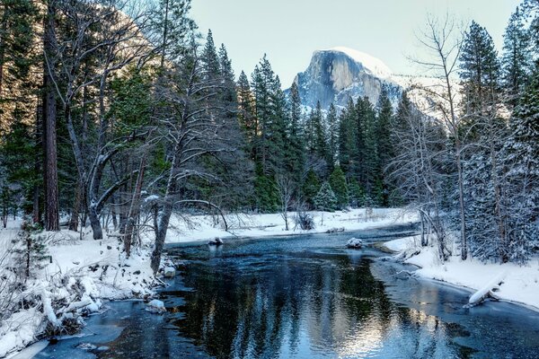 Un río en un bosque de invierno en los Estados Unidos