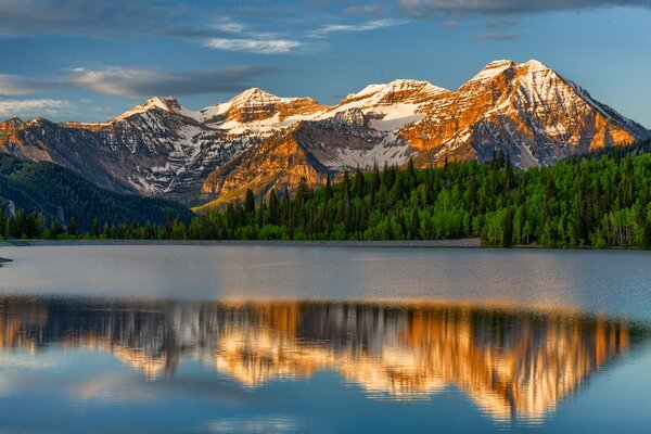 Riflessione di montagne e foreste nel lago