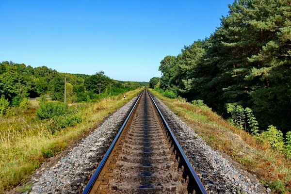 Ferrovia circondata dalla natura