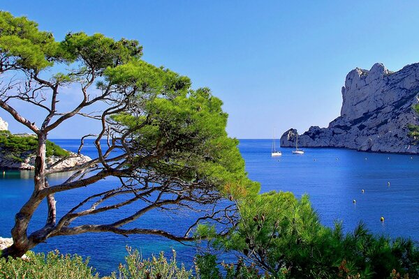 A small bay in the south of France