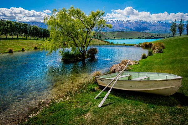 Bateau au bord du lac avec arbre