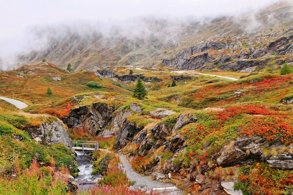 Autumn has also reached the mountains