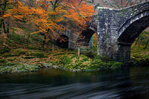 Alte Brücke im Wald über dem Fluss