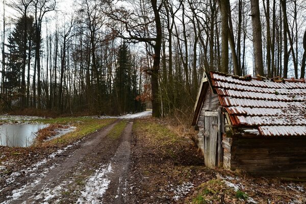 A hut in the middle of the forest