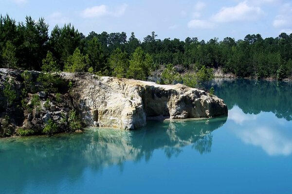 Grands arbres dans la forêt avec un lac et des pierres merveilleuses sur les rochers