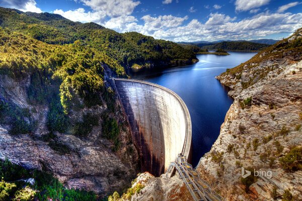 Platino Gordon in Tasmania