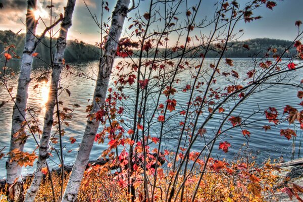 Fotos der herbstlichen Natur und des Flusses