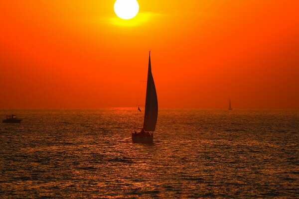 A lonely sail at sunset