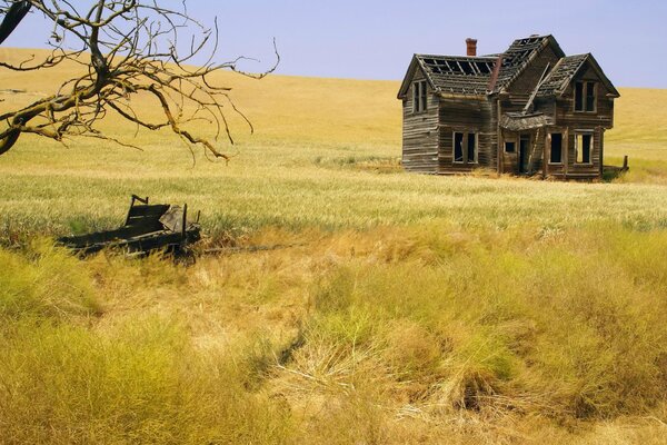 Maison en bois abandonnée dans un champ