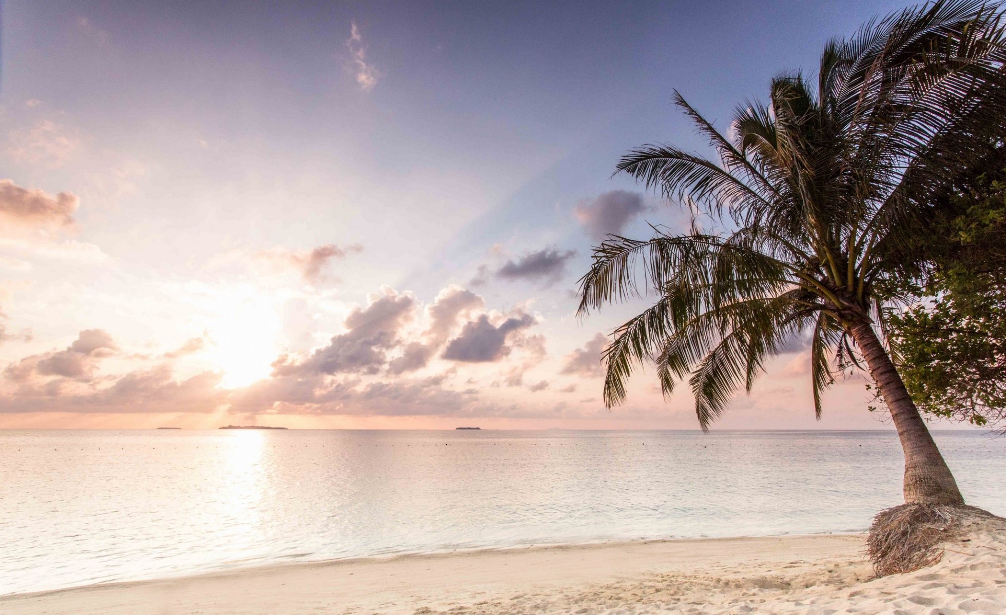 tropen meer palme sonnenuntergang