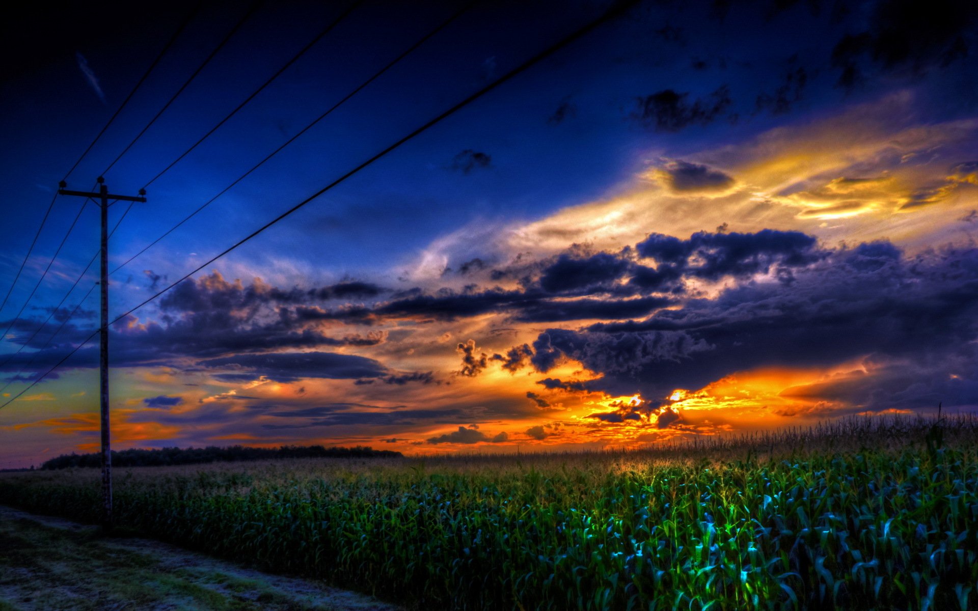 unset corn wire landscape