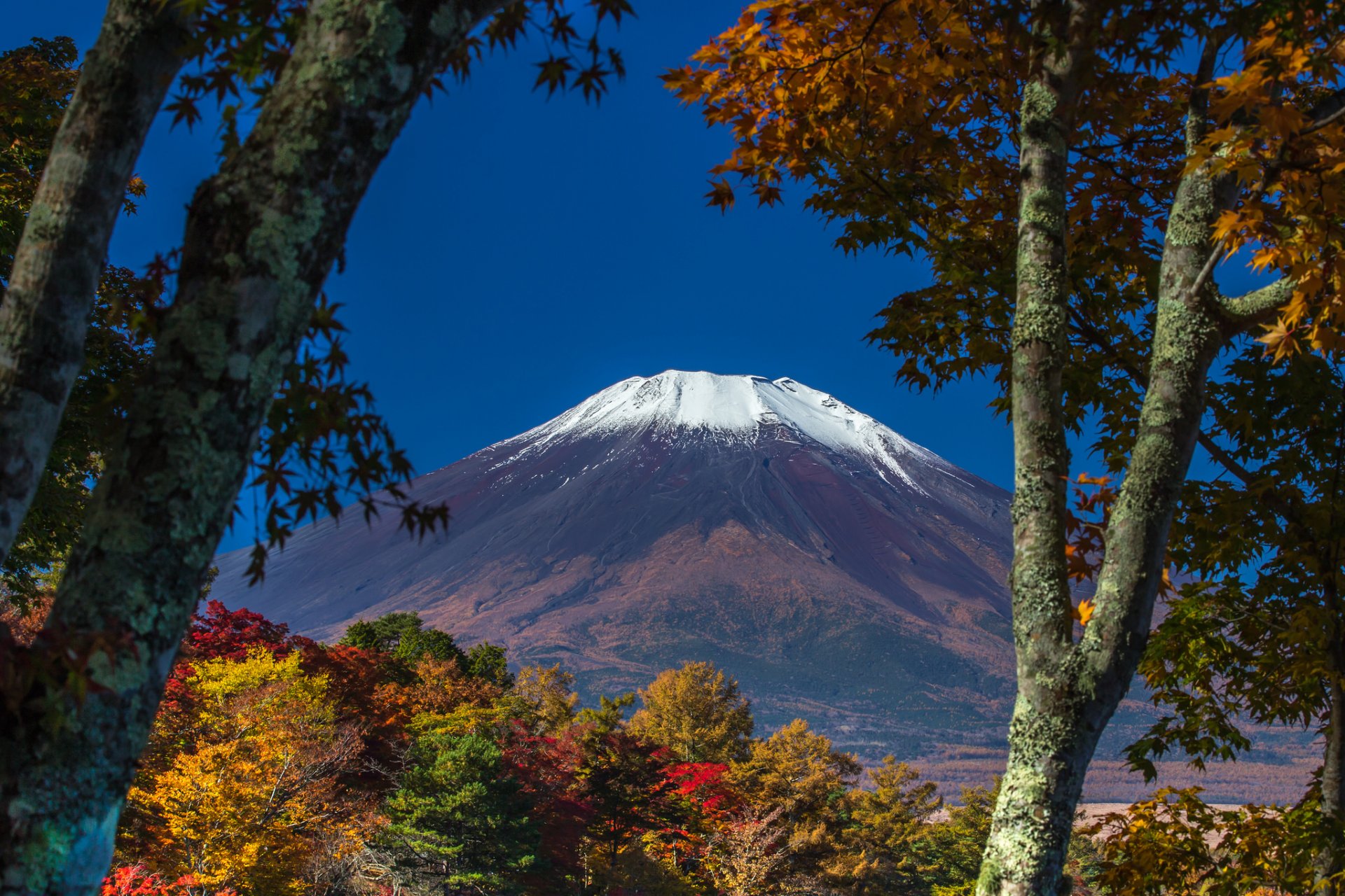 japonia góra fujiyama niebo drzewa liście jesień śnieg