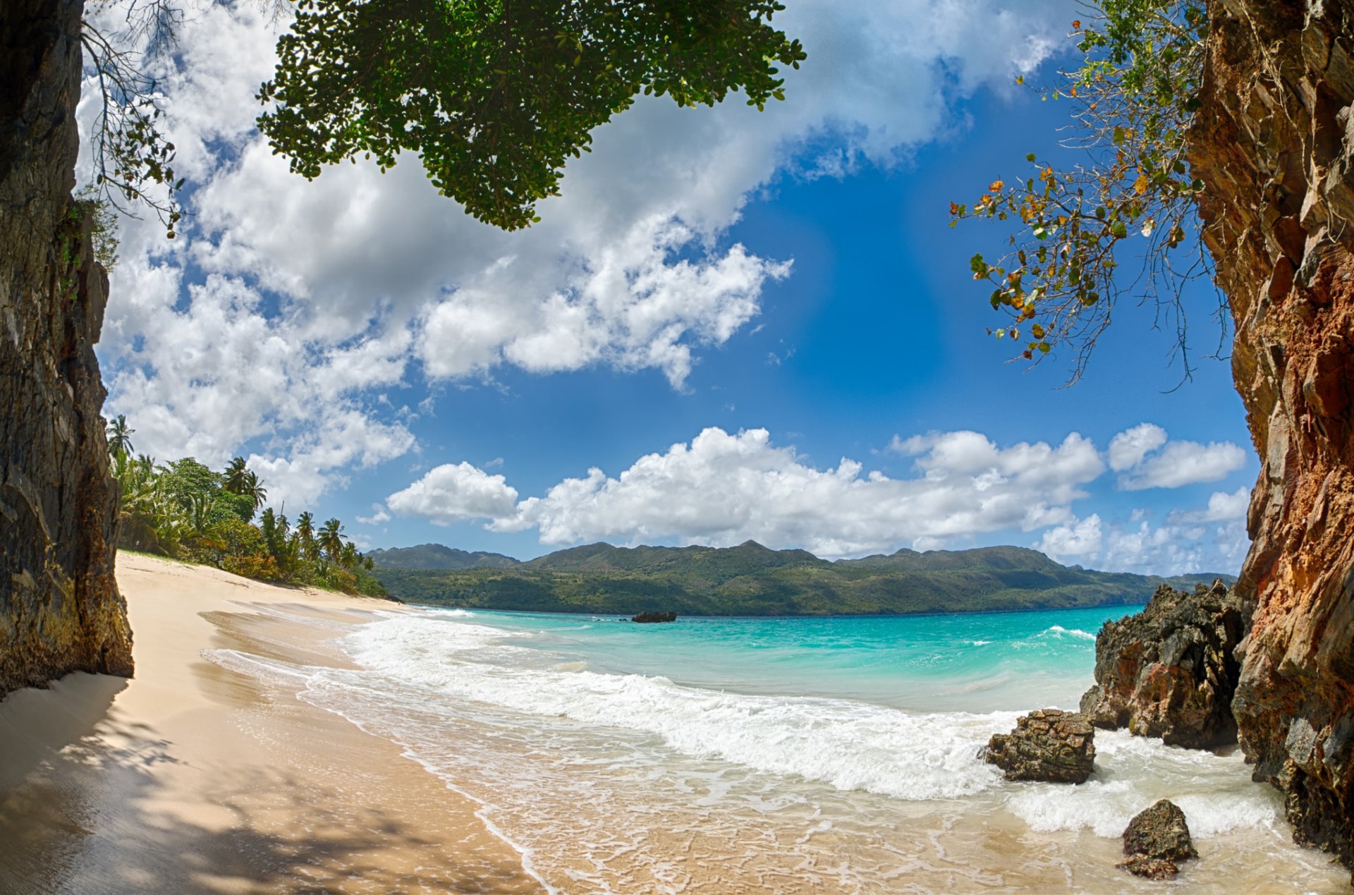 beach sand coast landscape palm