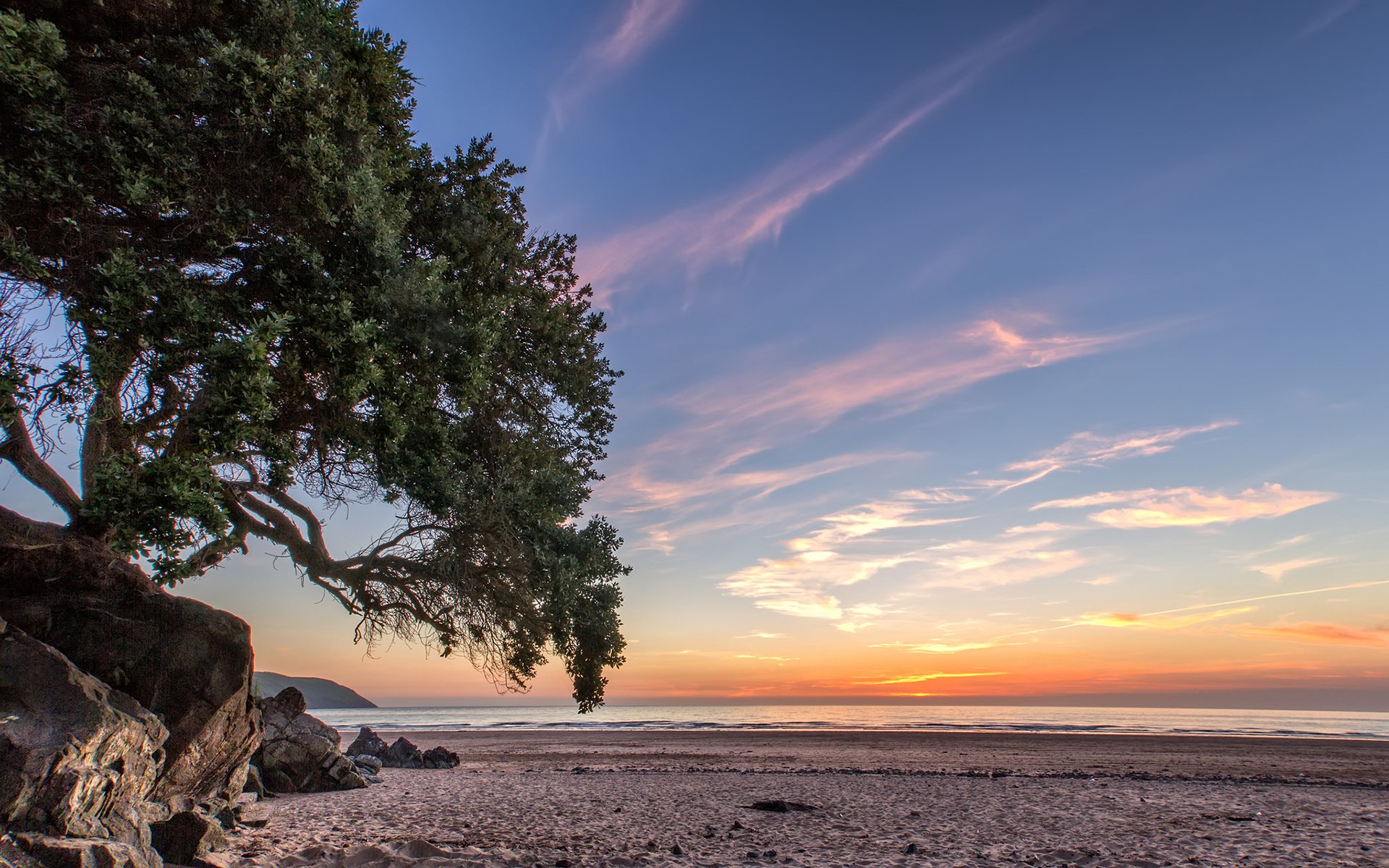 coast sunset ocean sea beach tree sky