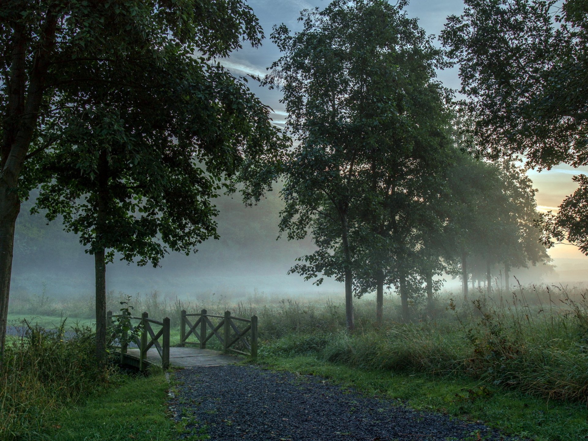 mattina nebbia strada ponte paesaggio natura