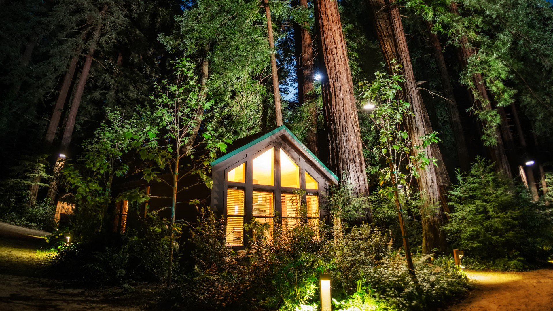 forest tree house lights light park hdr