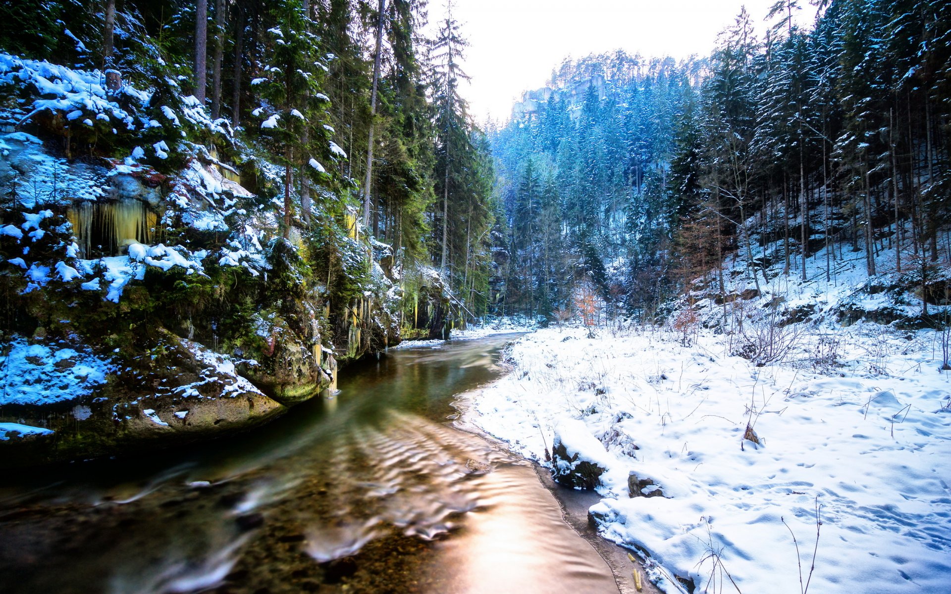 hiver rivière forêt nature paysage