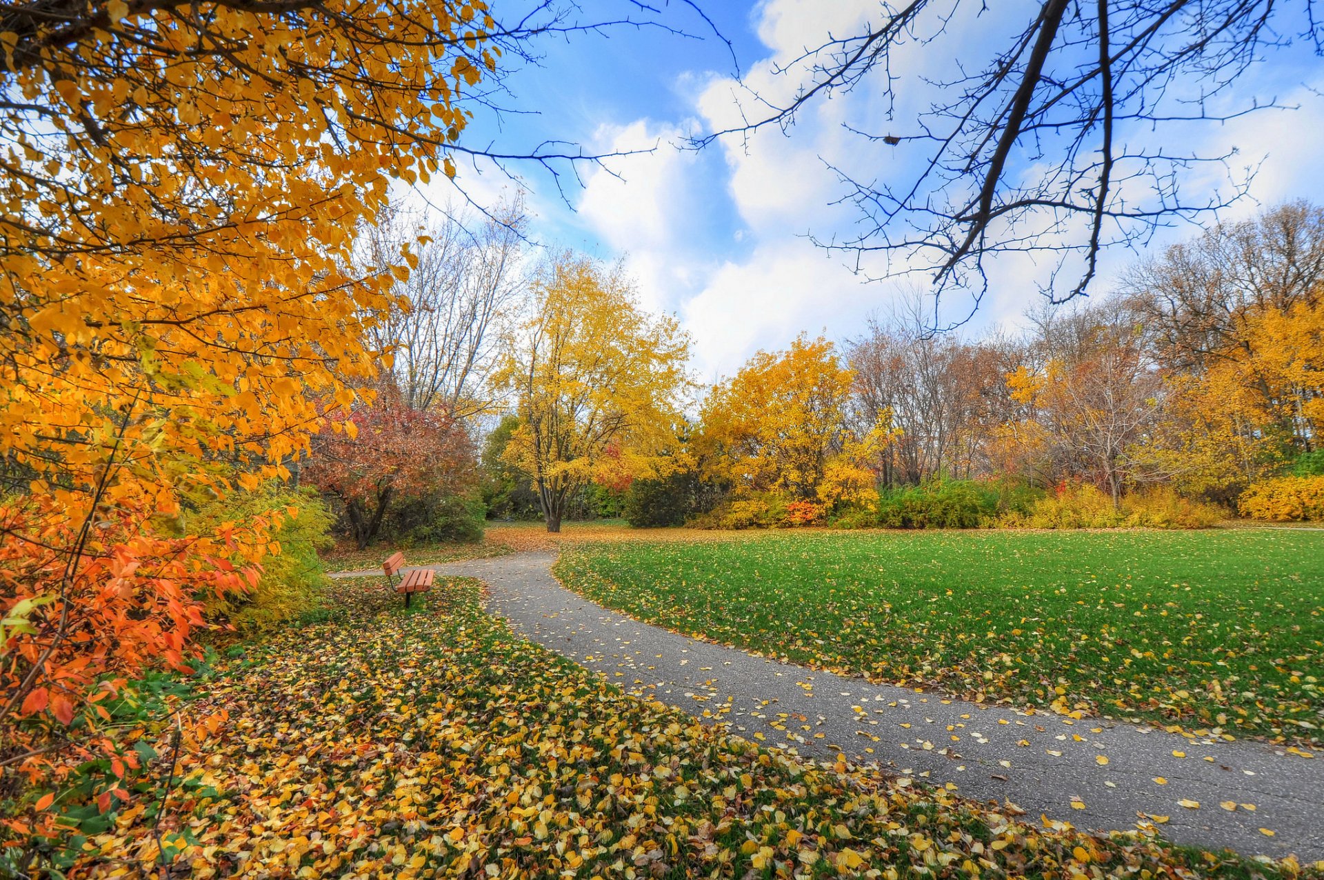 niebo park ścieżka trawa ławka drzewa jesień