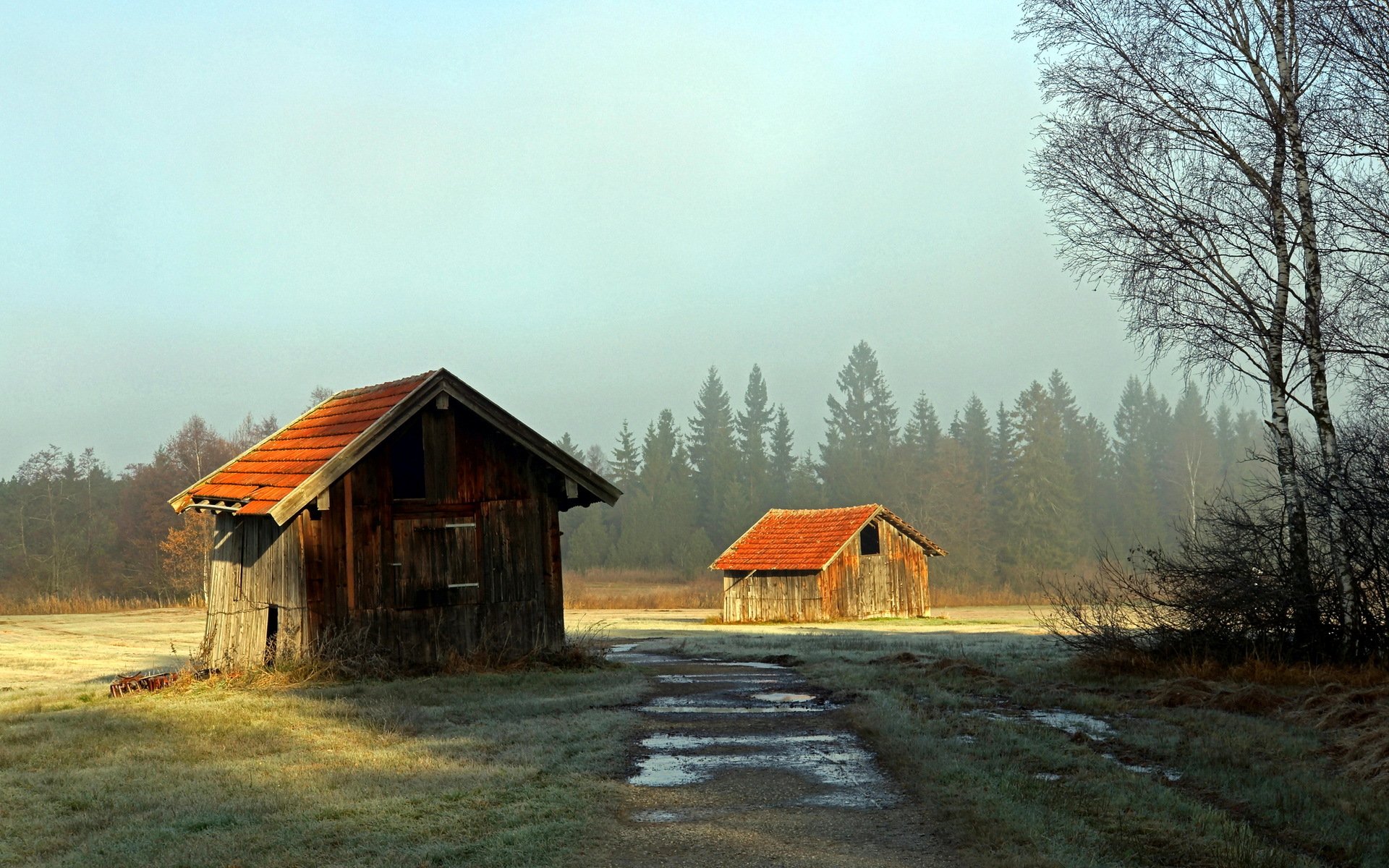 champ maison paysage