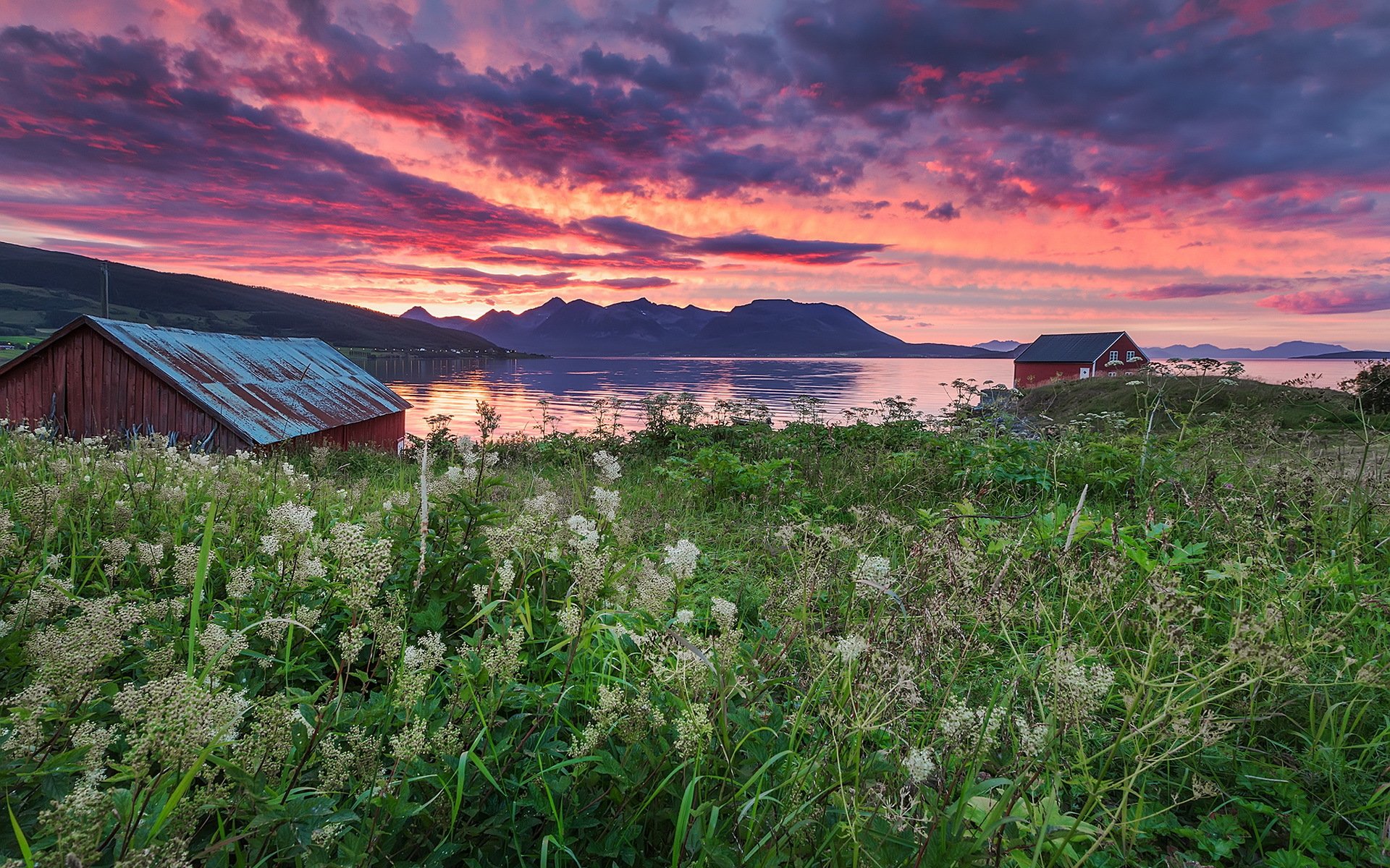 sonnenuntergang feld zuhause meer