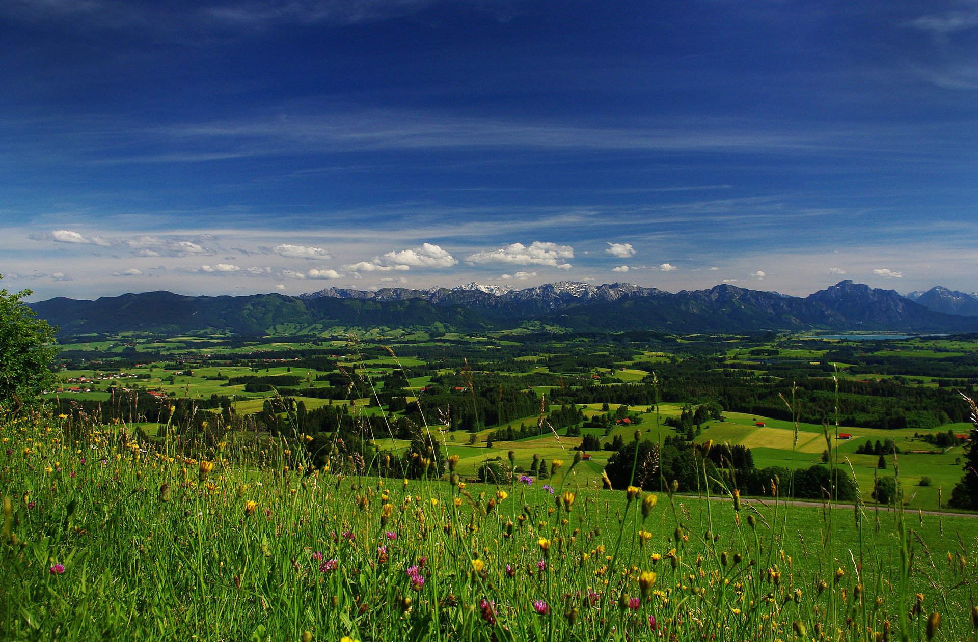 himmel wolken berge horizont feld wiese bäume blumen gras tal