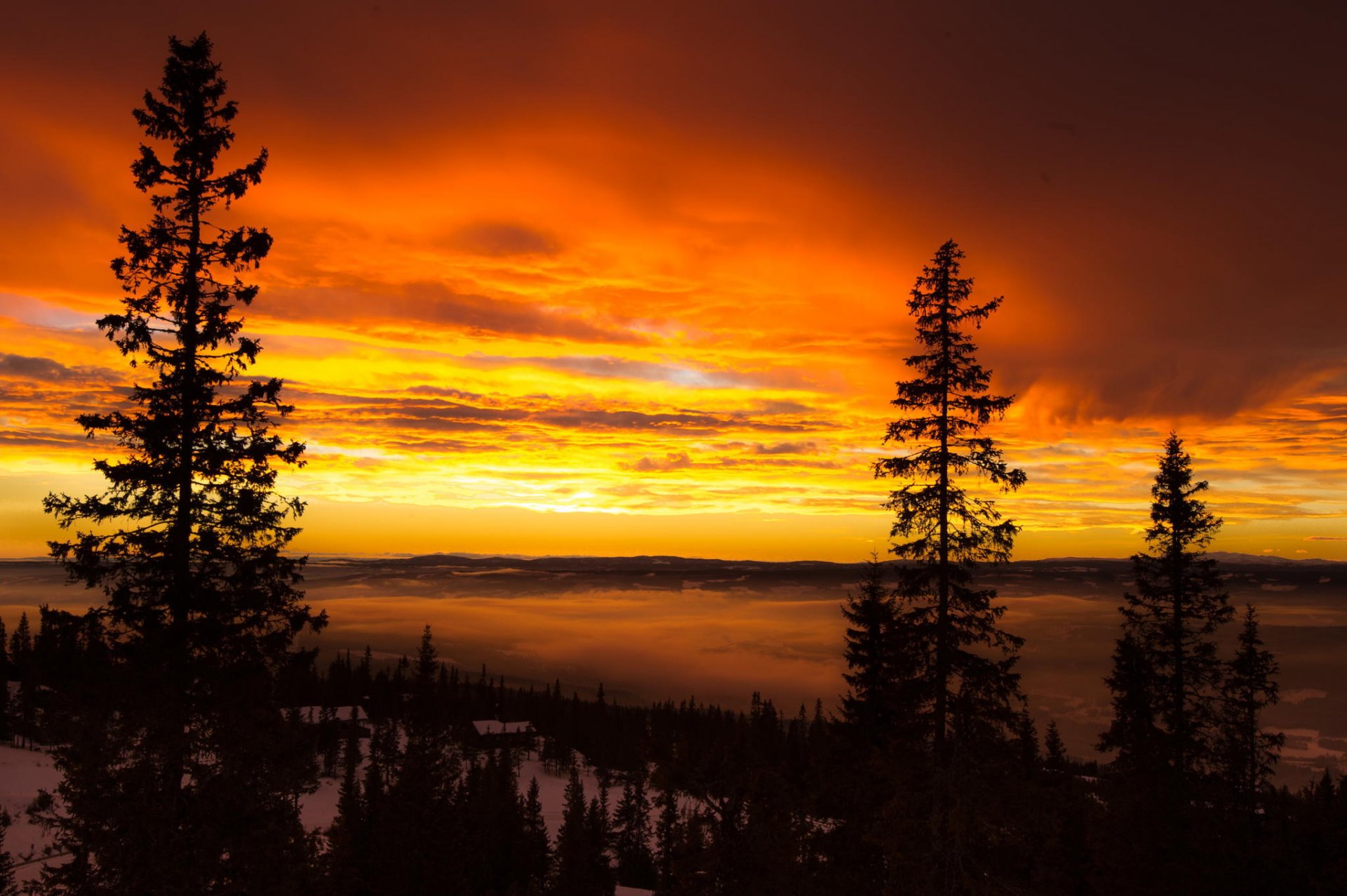 mountain height winter clouds dawn landscape tree