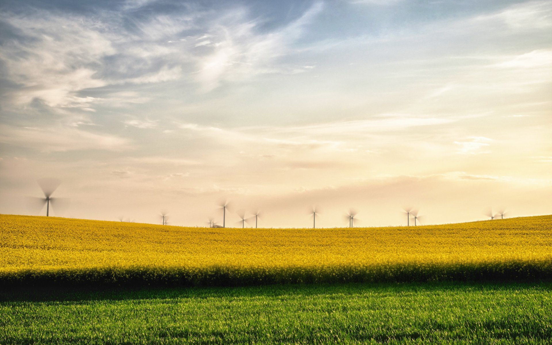 sommer feld raps windräder landschaft