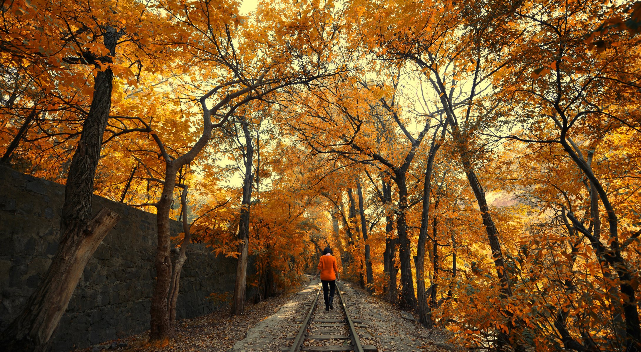 girl road autumn rails brunette tree foliage purple leaves nature