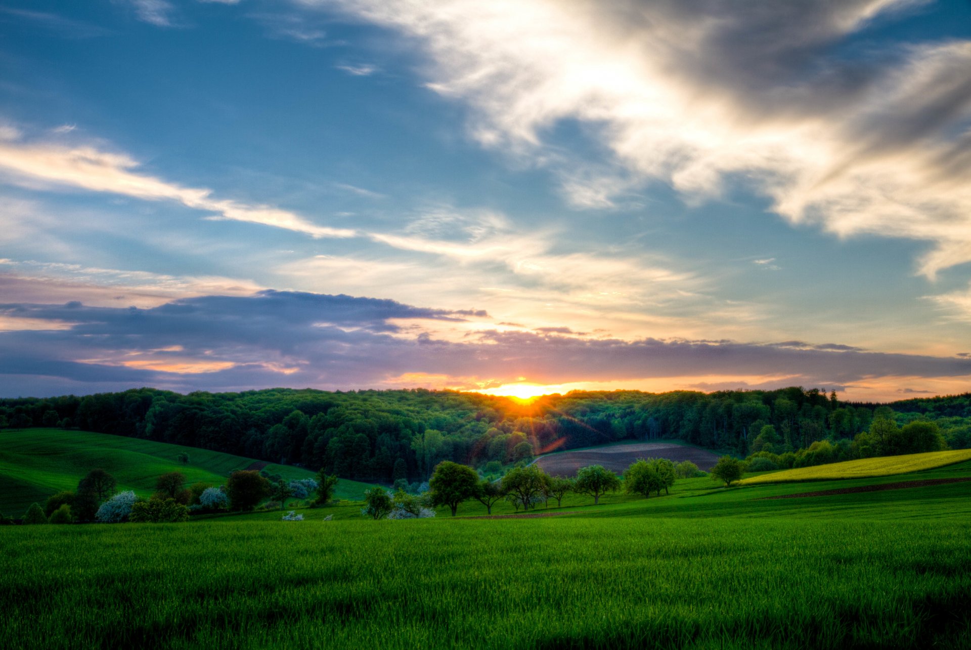 sera crepuscolo hollow erba alberi sole tramonto