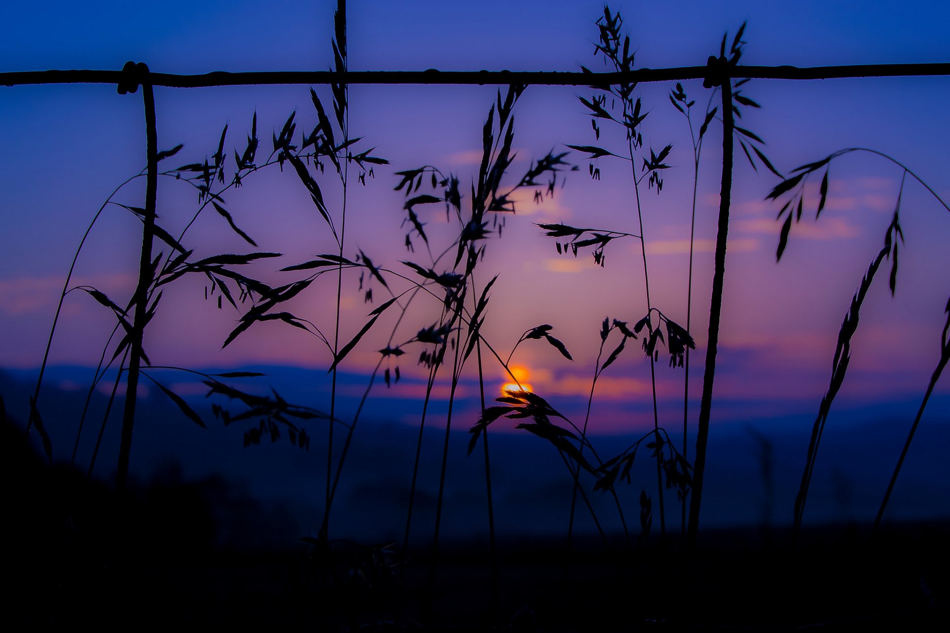 ciel nuages coucher de soleil montagne plante herbe gros plan