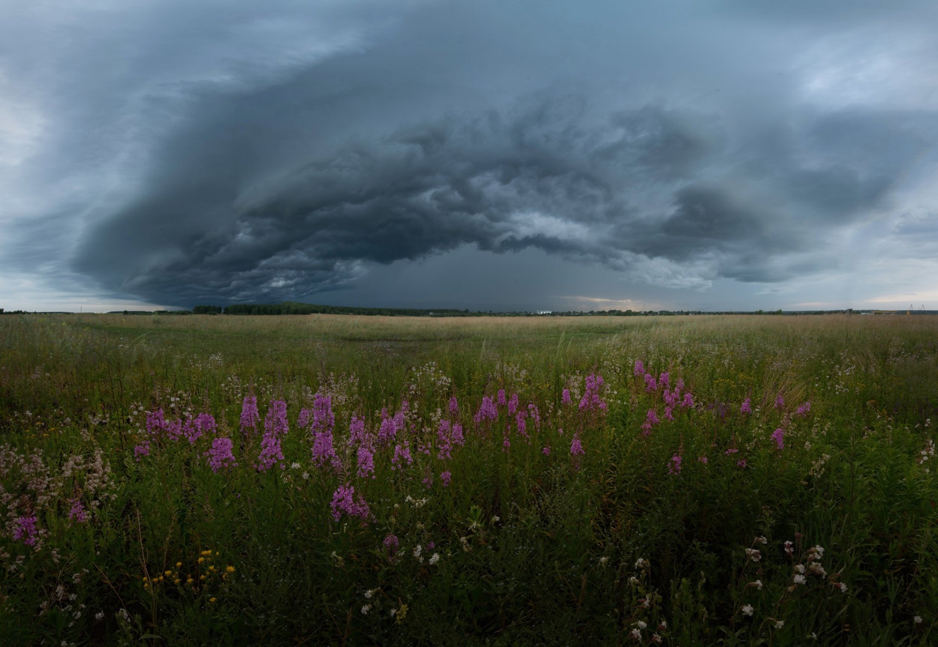 russie été août ciel nuages tempête champ champs fleurs