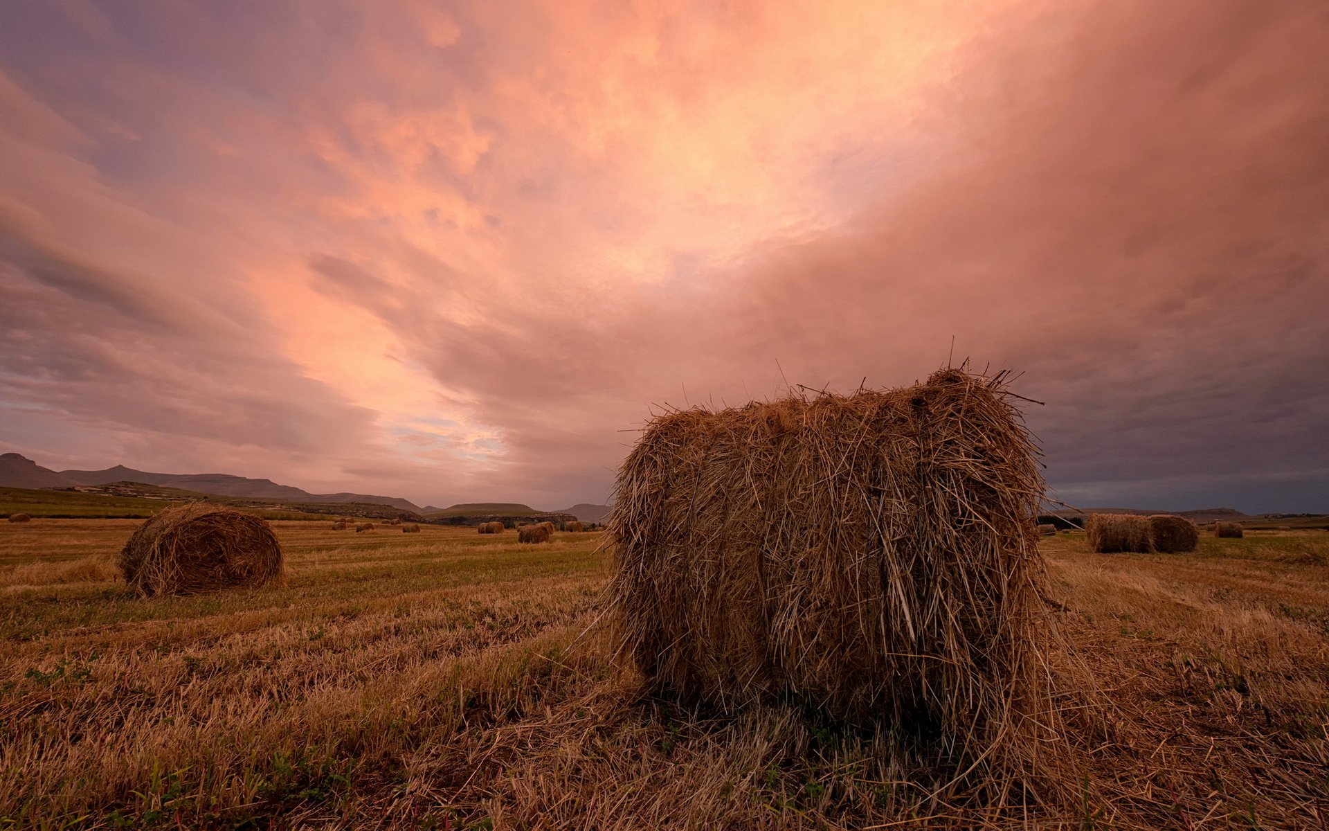 tramonto campo fieno paesaggio