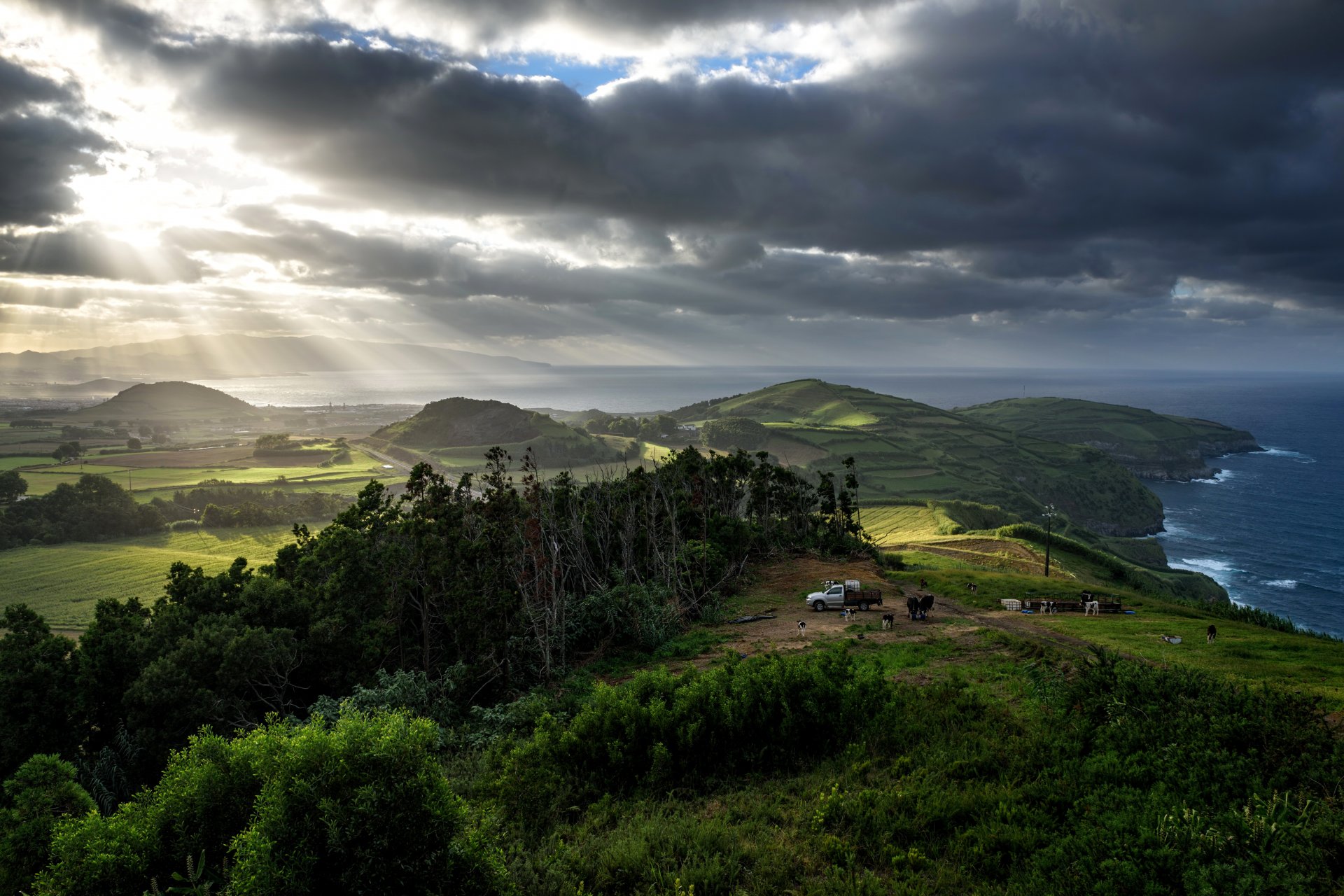 portugal açores mer côte champs prairies arbres vaches nuages nuageux rayons du soleil