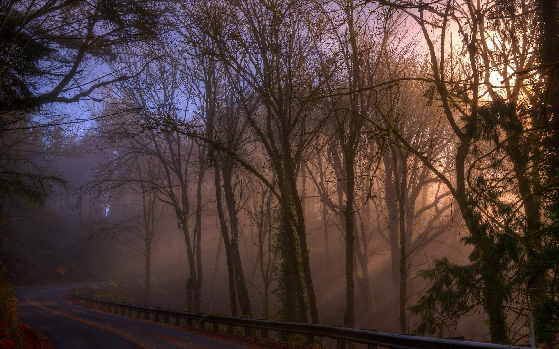 mañana camino otoño