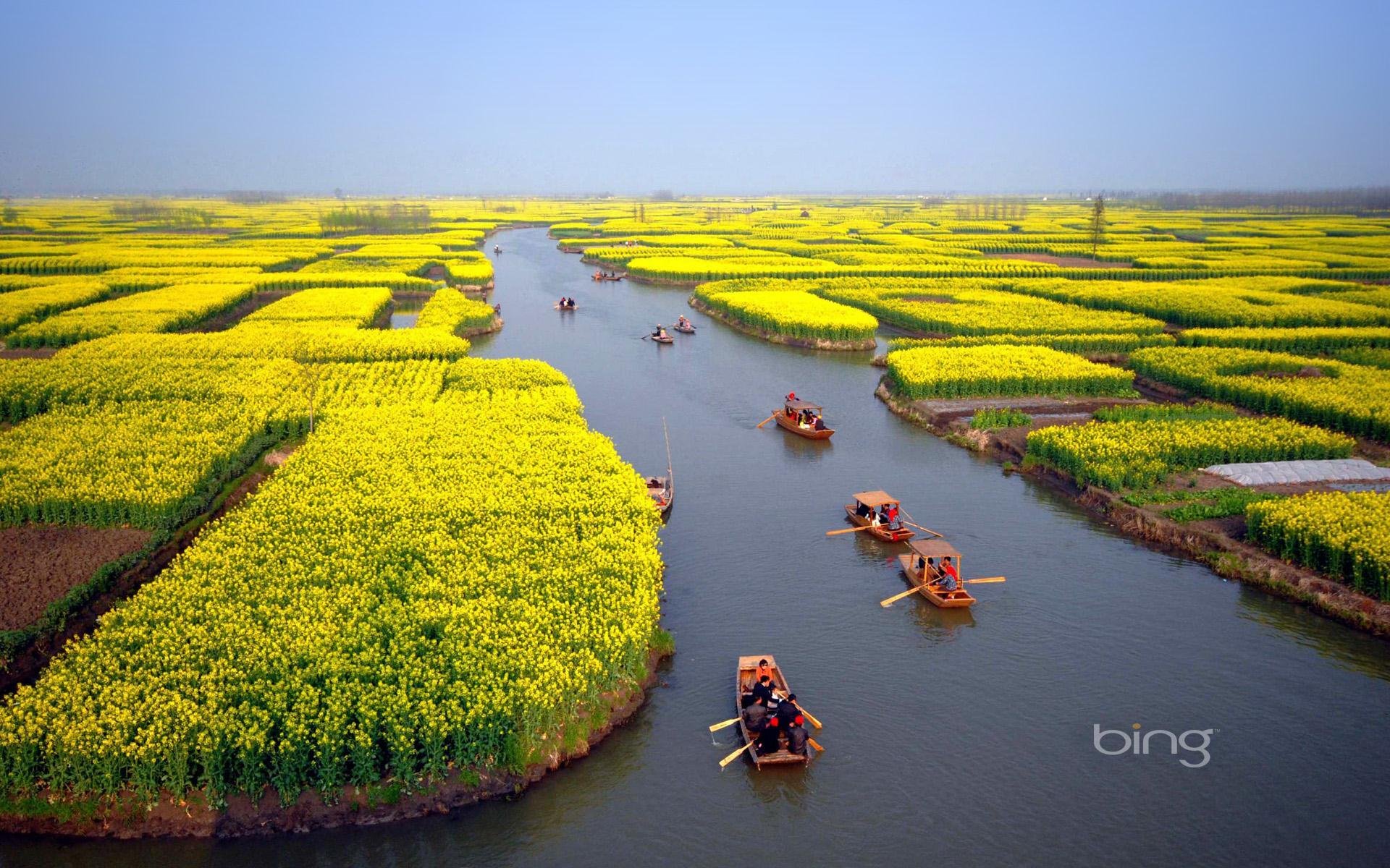 horizon canal champ fleurs bateaux personnes