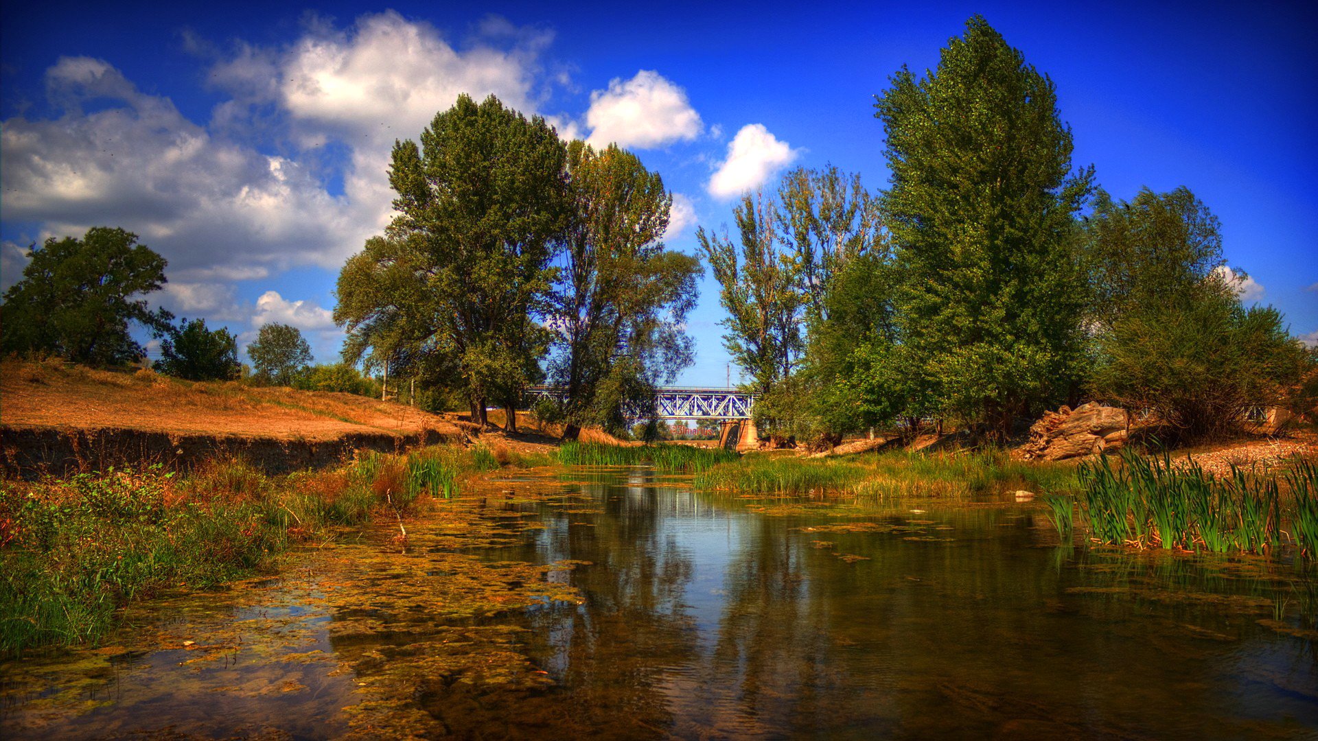 himmel wolken bäume fluss brücke