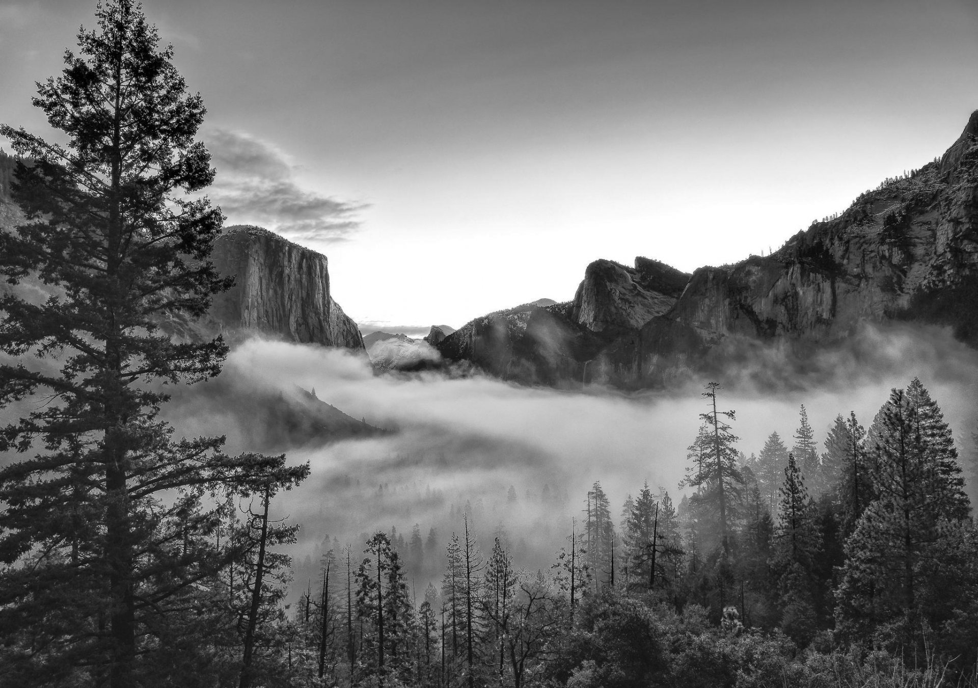 mountain nature forest park photo black and white united states california yosemite