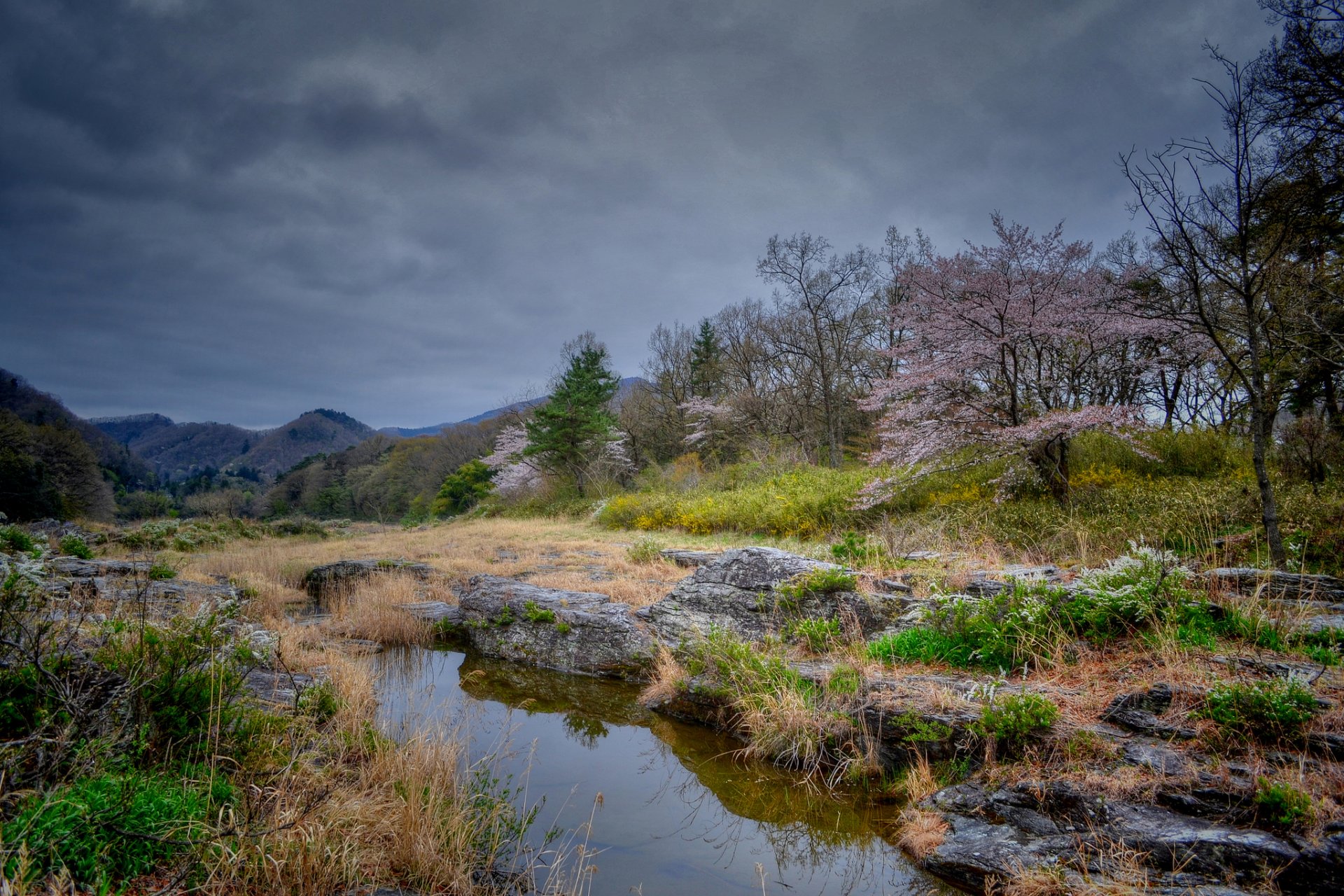 collines arbres floraison printemps plan d eau nuages