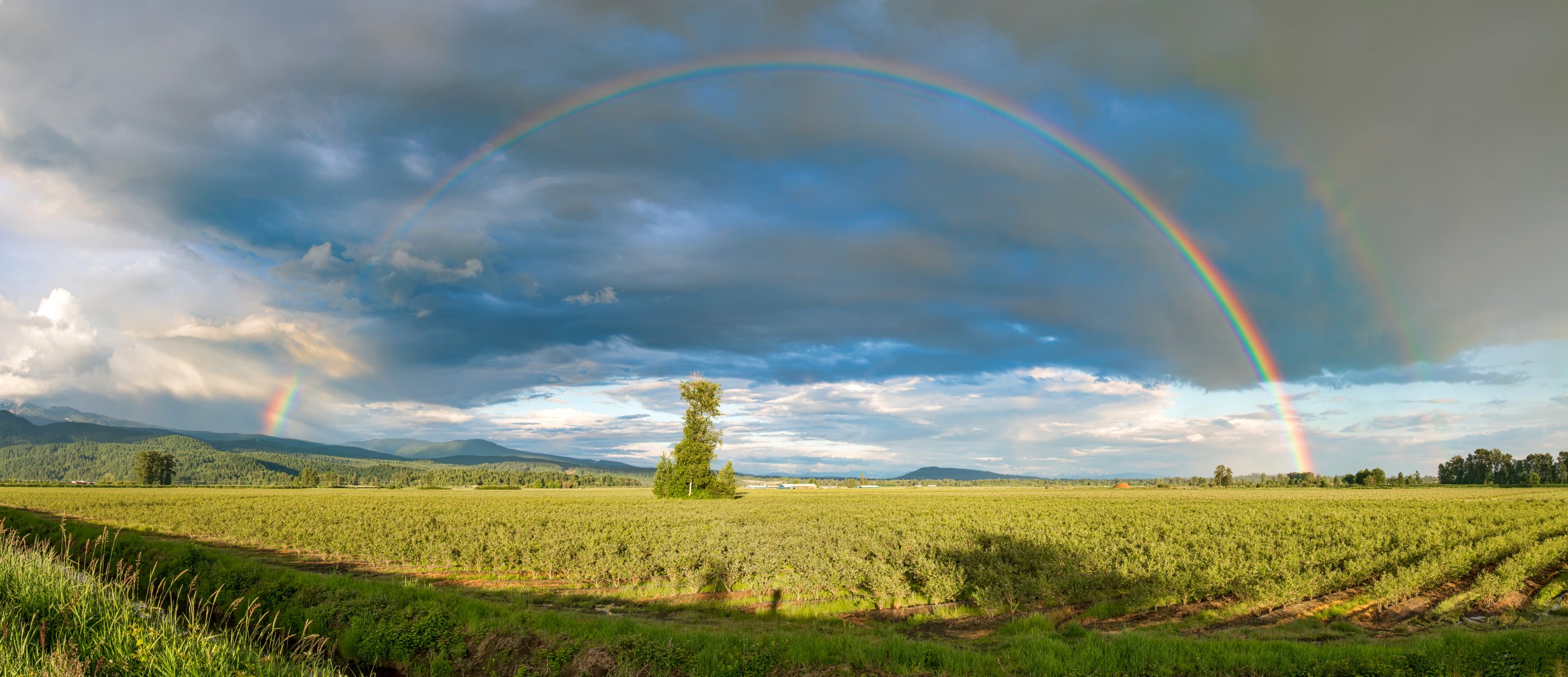 pitt meadows kolumbia brytyjska kanada niebo chmury pole ogród drzewo wzgórza tęcza panorama