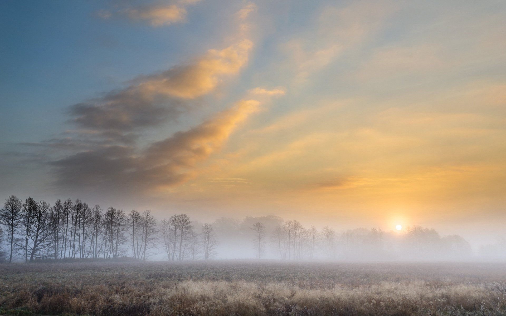 autumn foggy morning