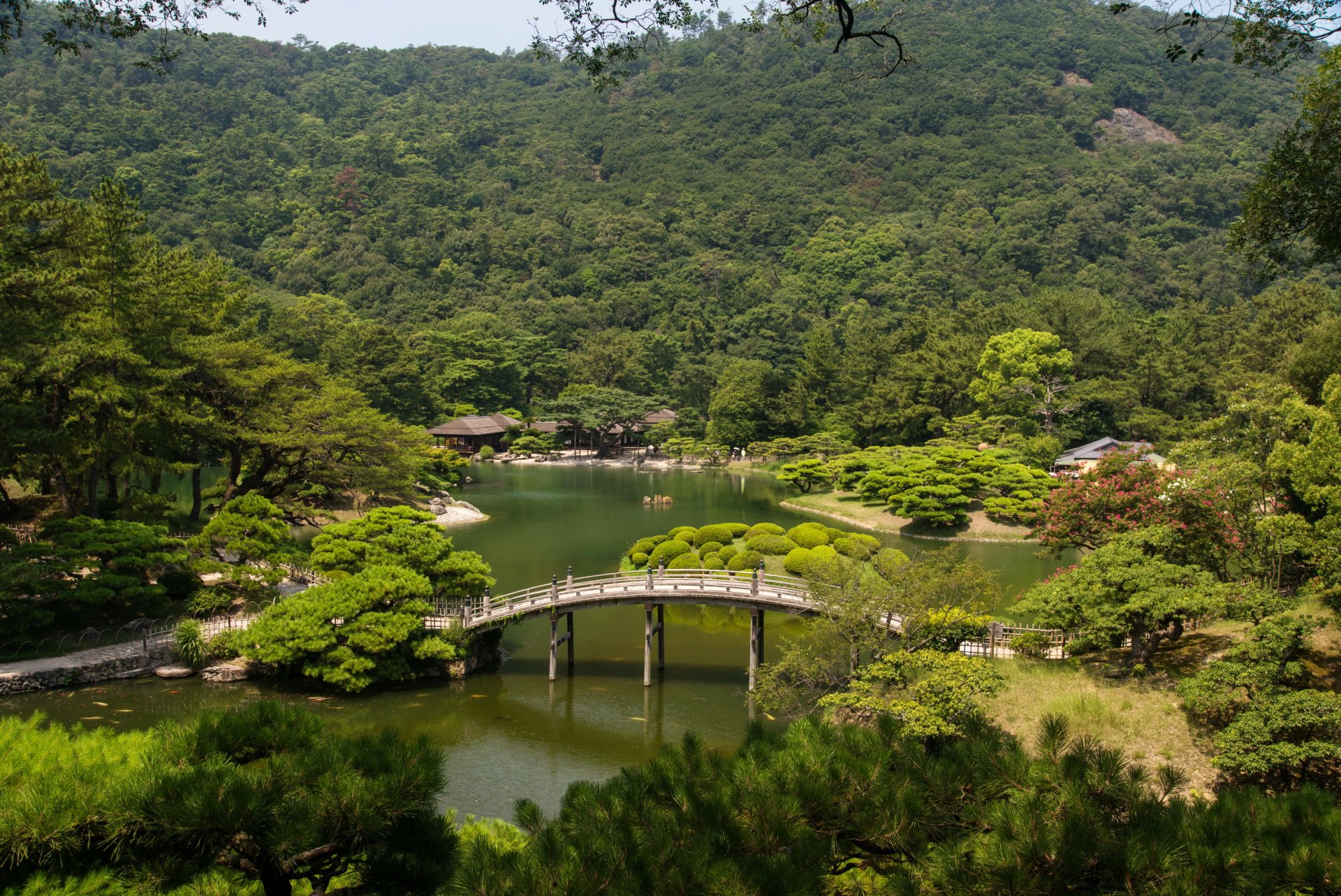 landschaft japan gärten fluss brücke takamatsu rizurin garten bäume natur foto