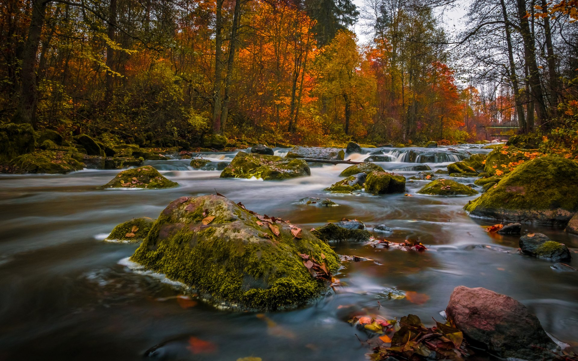 nukari finland autumn forest river stone